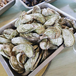 野花免费资源安装步骤